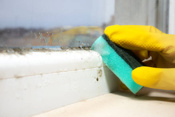 Best Professional Mold Removal  in Eatontown, NJ