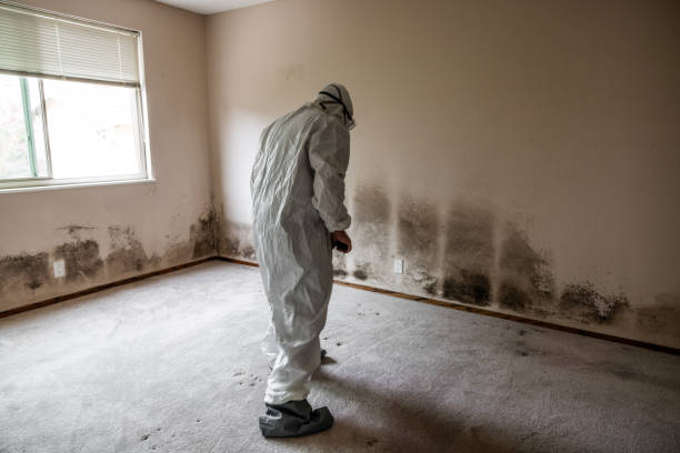 Best Toxic Mold Removal  in Eatontown, NJ